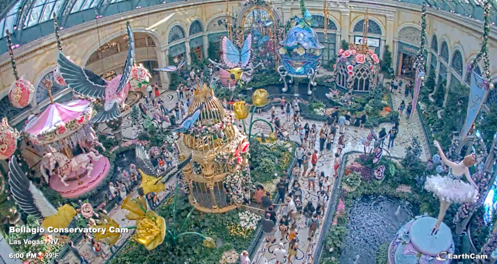 Bellagio Conservatory Live Cam